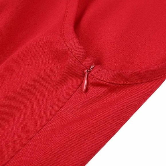 Vintage Inspired Valentine's Dress - Picture 5 of 5